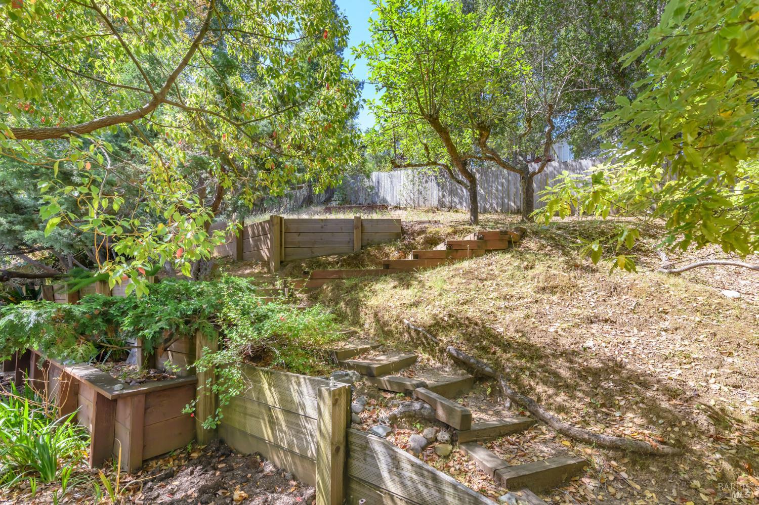 25 Maple Avenue Fairfax CA 94930