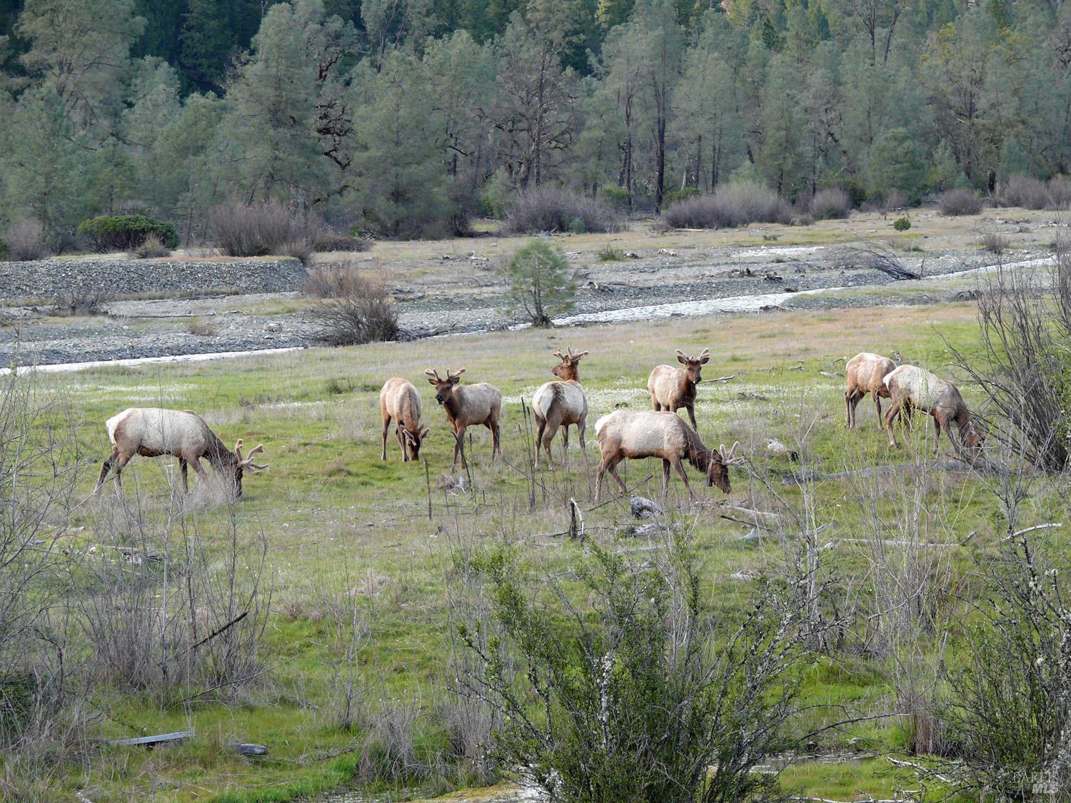 30599 White Horse Crossing Road Potter Valley CA 95469