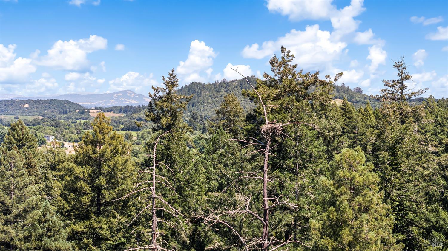9695 Rio Vista Road Forestville CA 95436