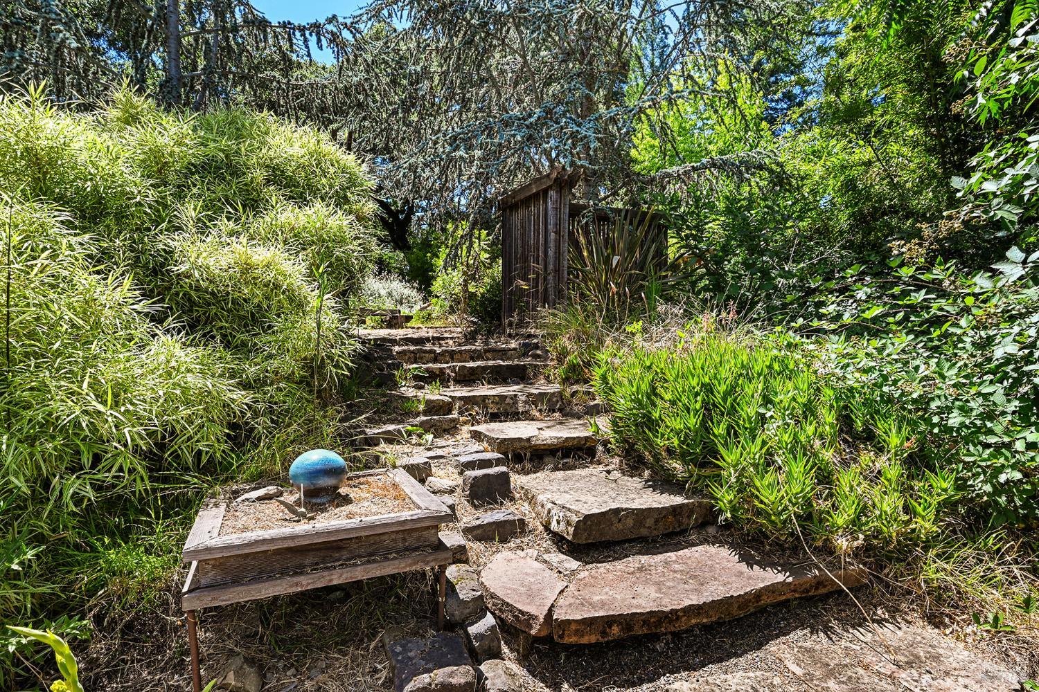 9695 Rio Vista Road Forestville CA 95436