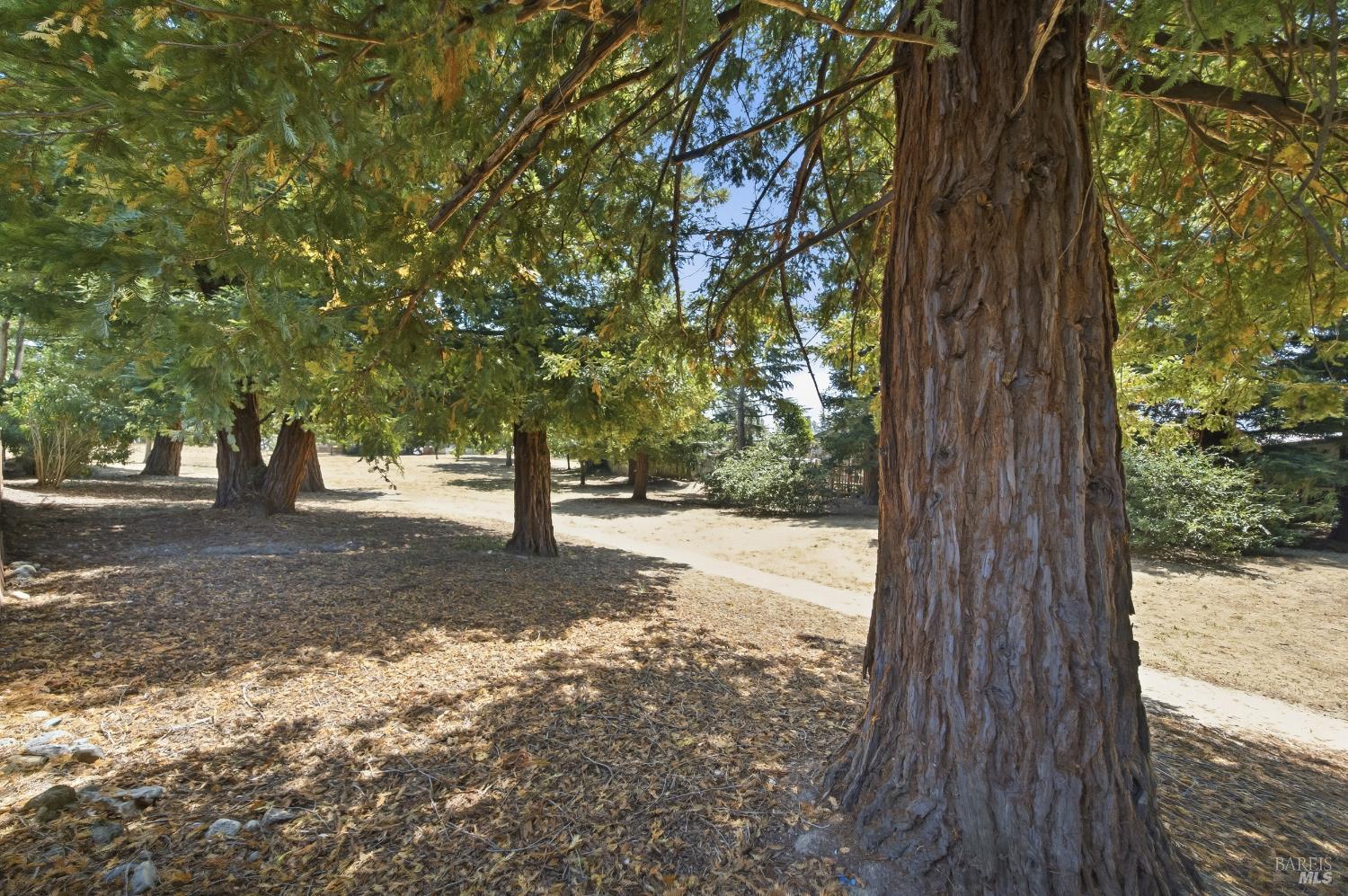 205 Avenida Barbera Sonoma CA 95476