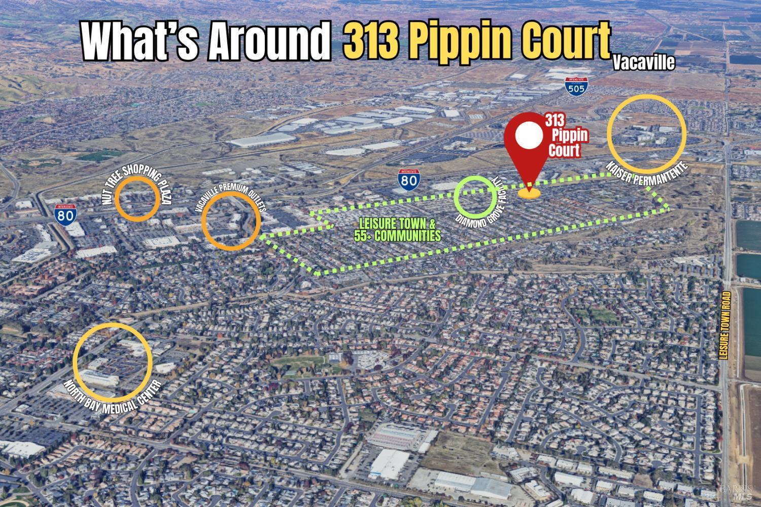 313 Pippin Court Vacaville CA 95687