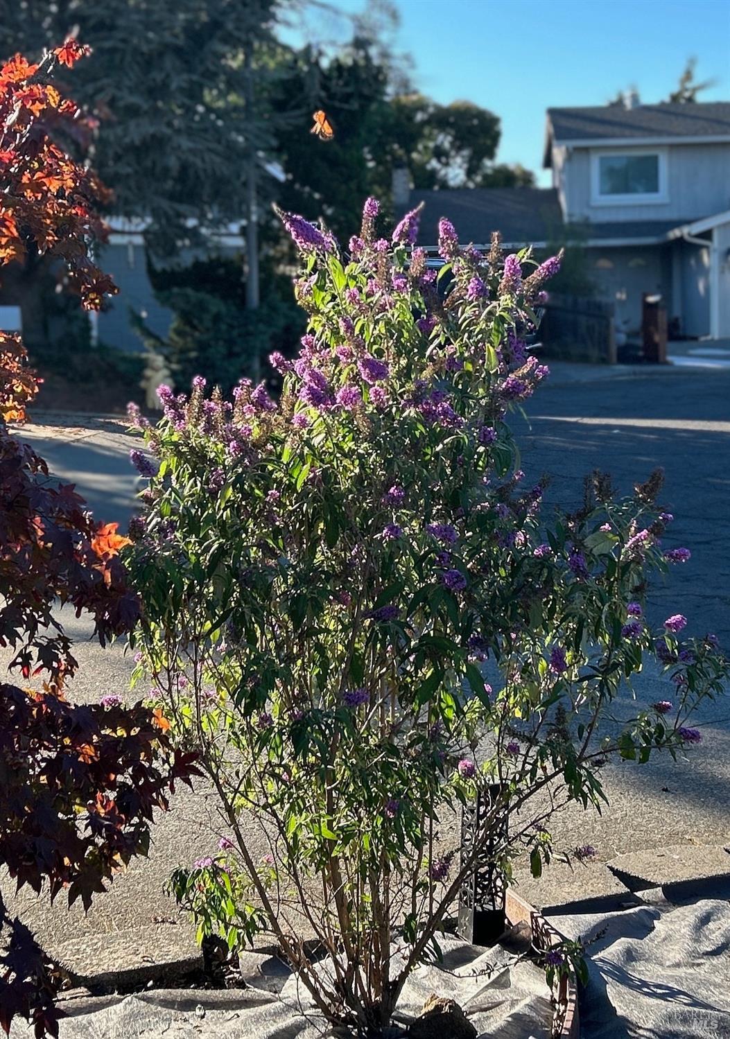 212 Eaton Court Benicia CA 94510