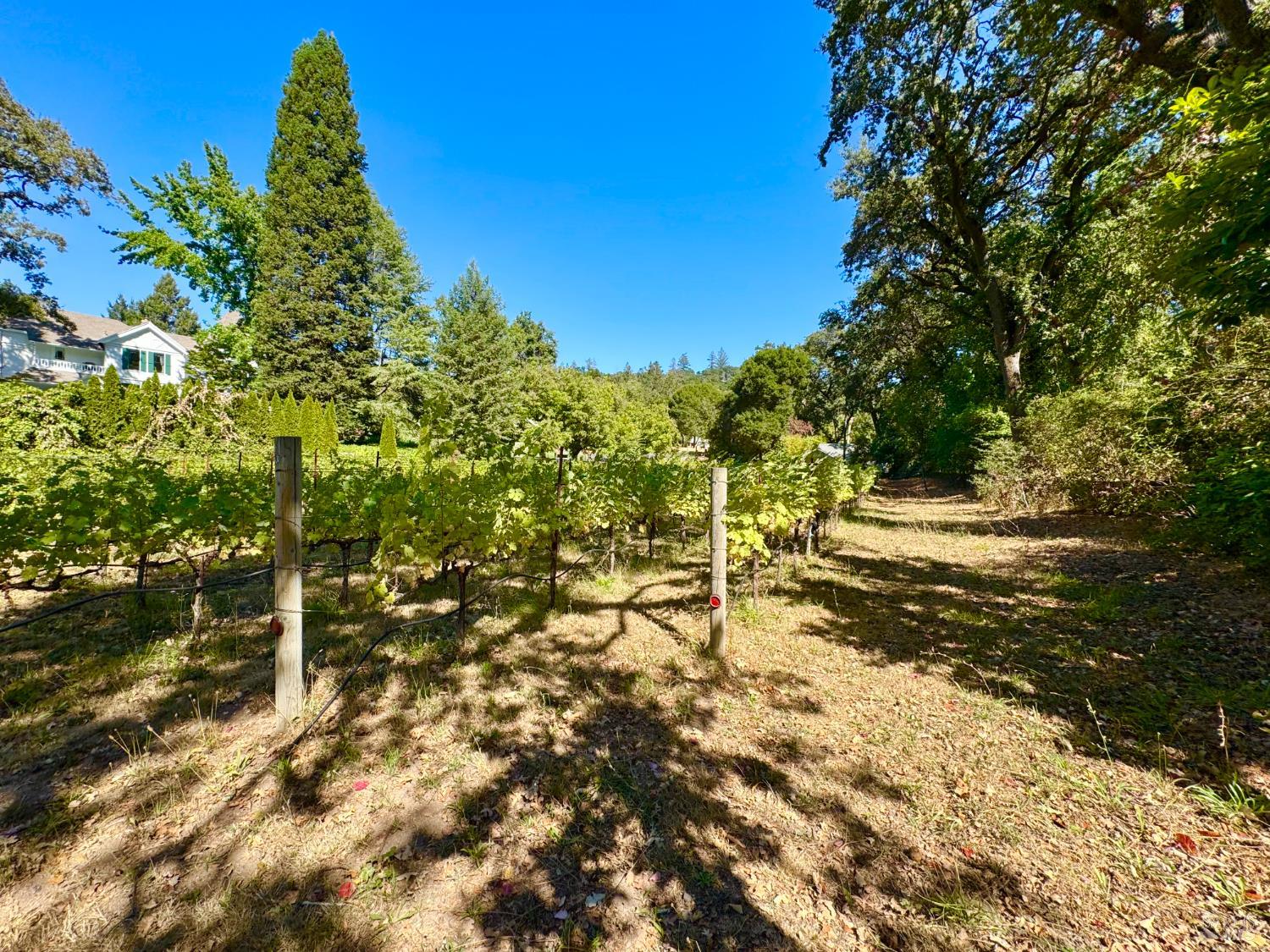 109 Glass Mountain Lane St. Helena CA 94574