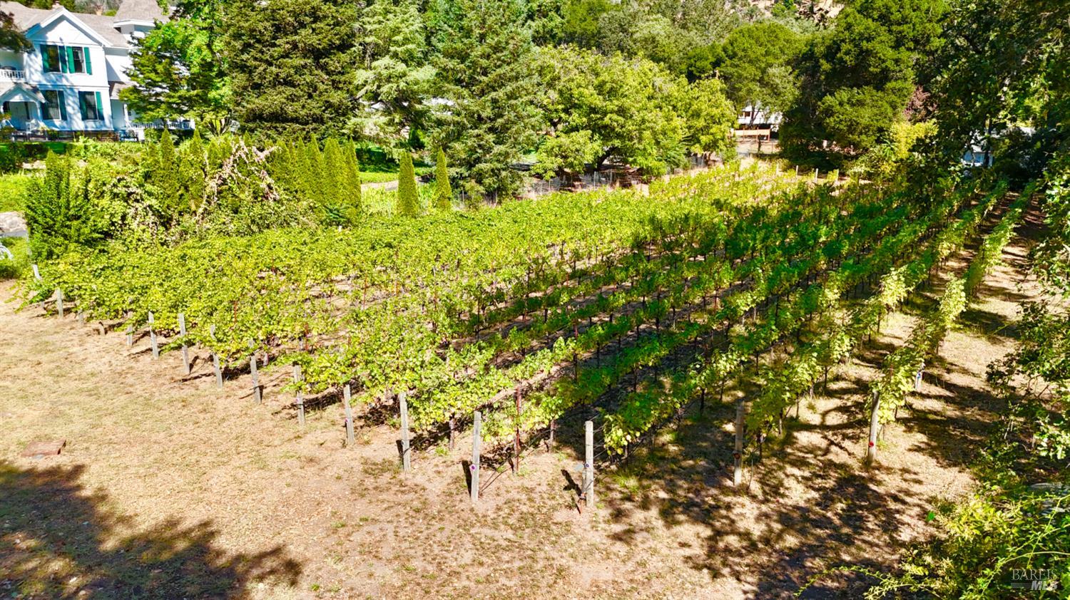 109 Glass Mountain Lane St. Helena CA 94574
