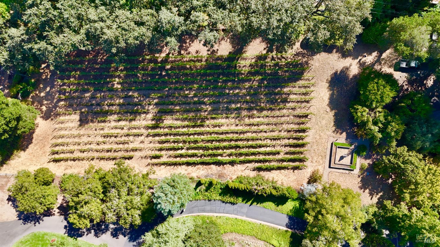 109 Glass Mountain Lane St. Helena CA 94574