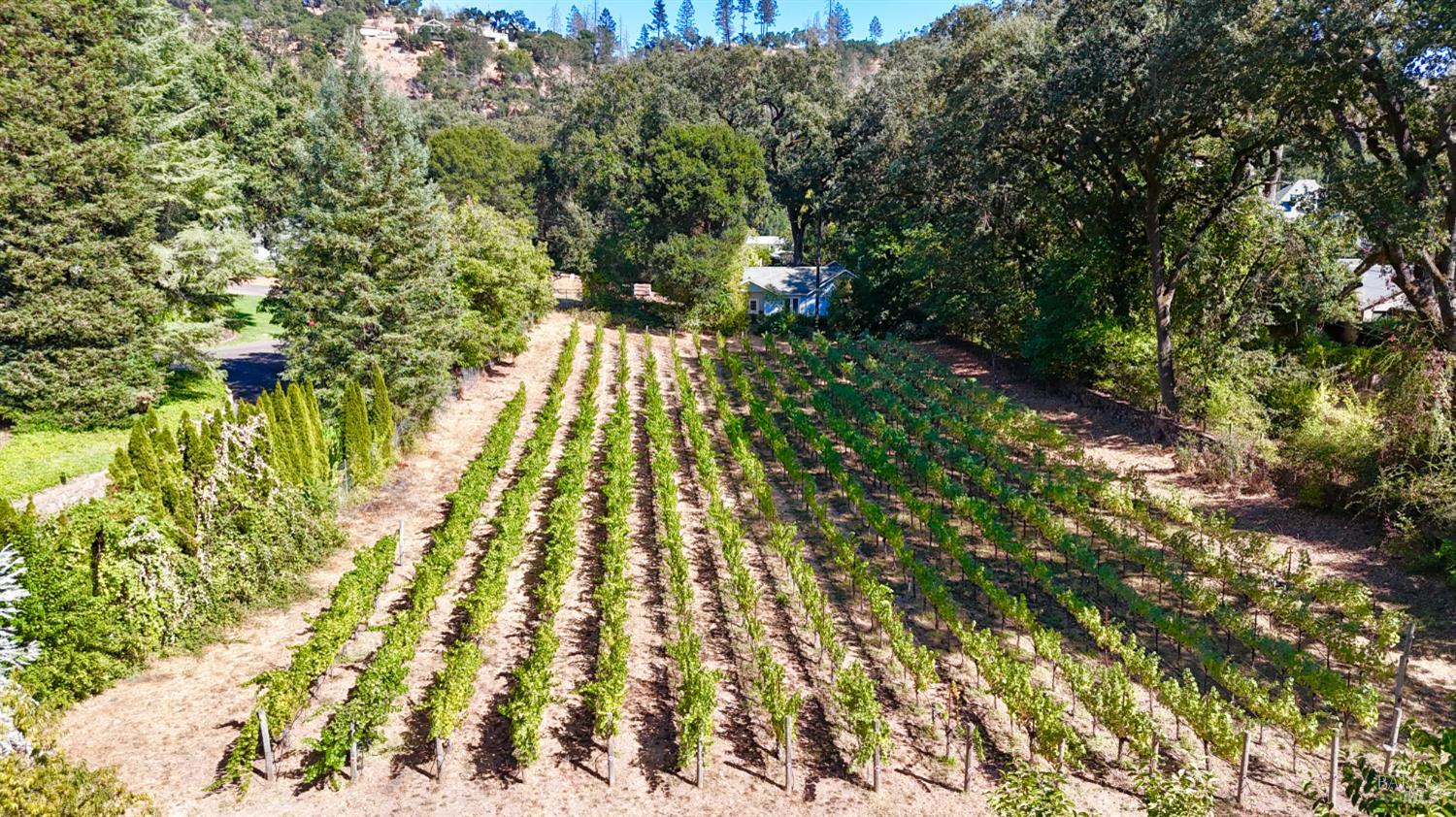 109 Glass Mountain Lane St. Helena CA 94574
