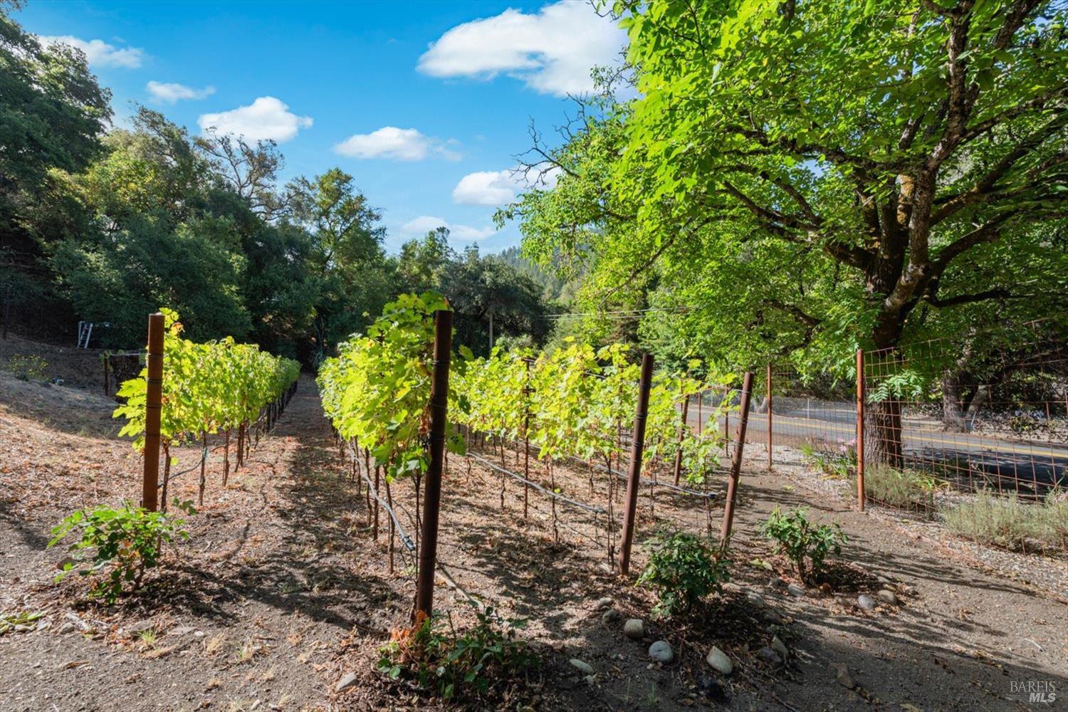 Napa CA, 5266 Dry Creek Road