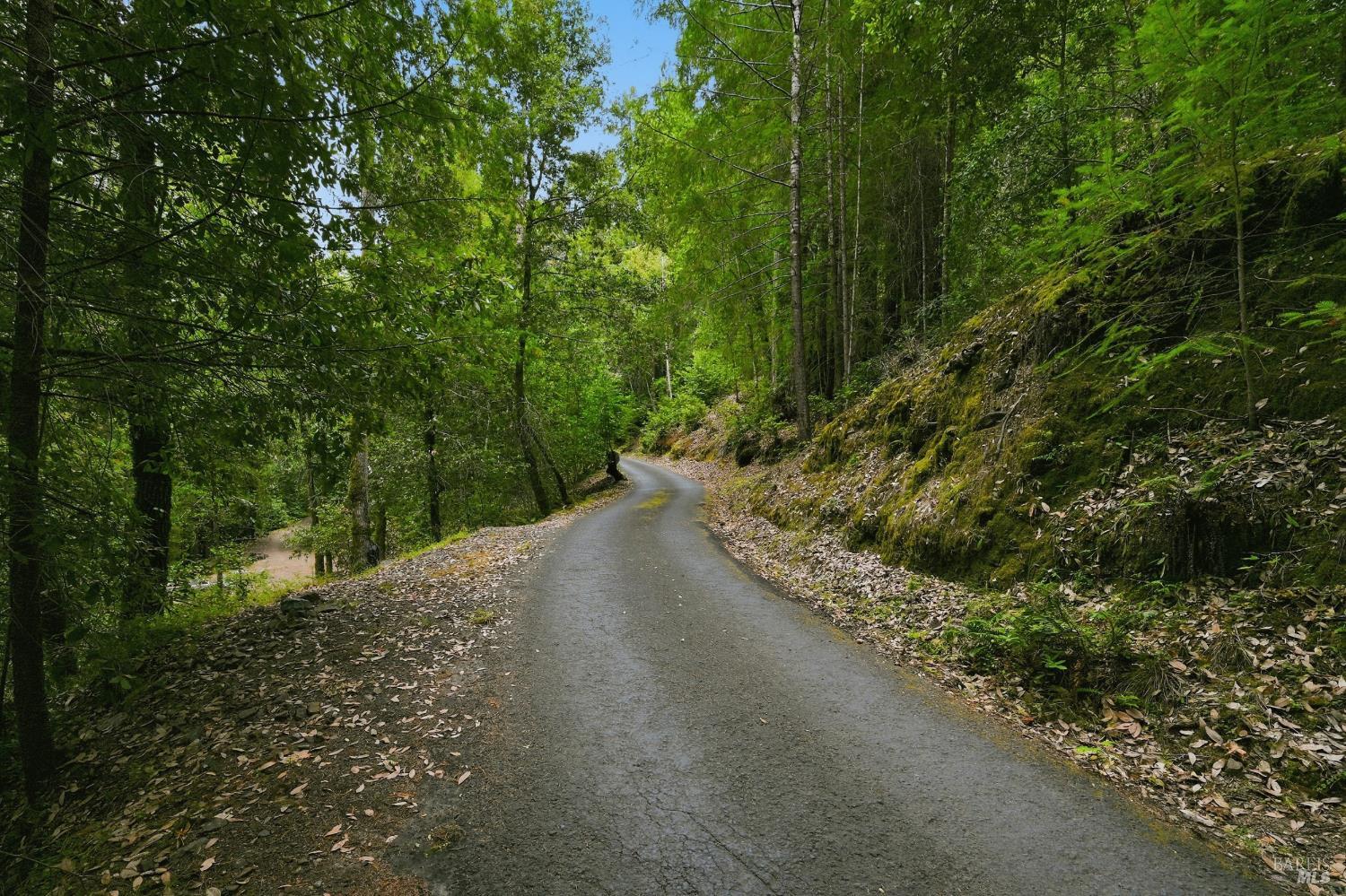 19300 Fort Ross Road Cazadero CA 95421