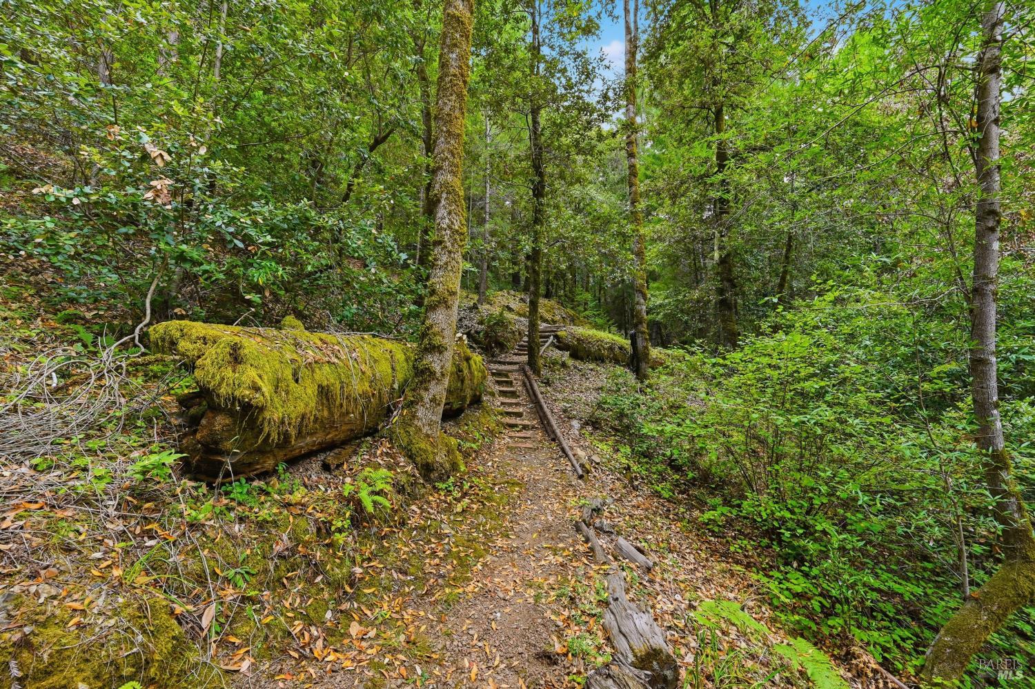 19300 Fort Ross Road Cazadero CA 95421