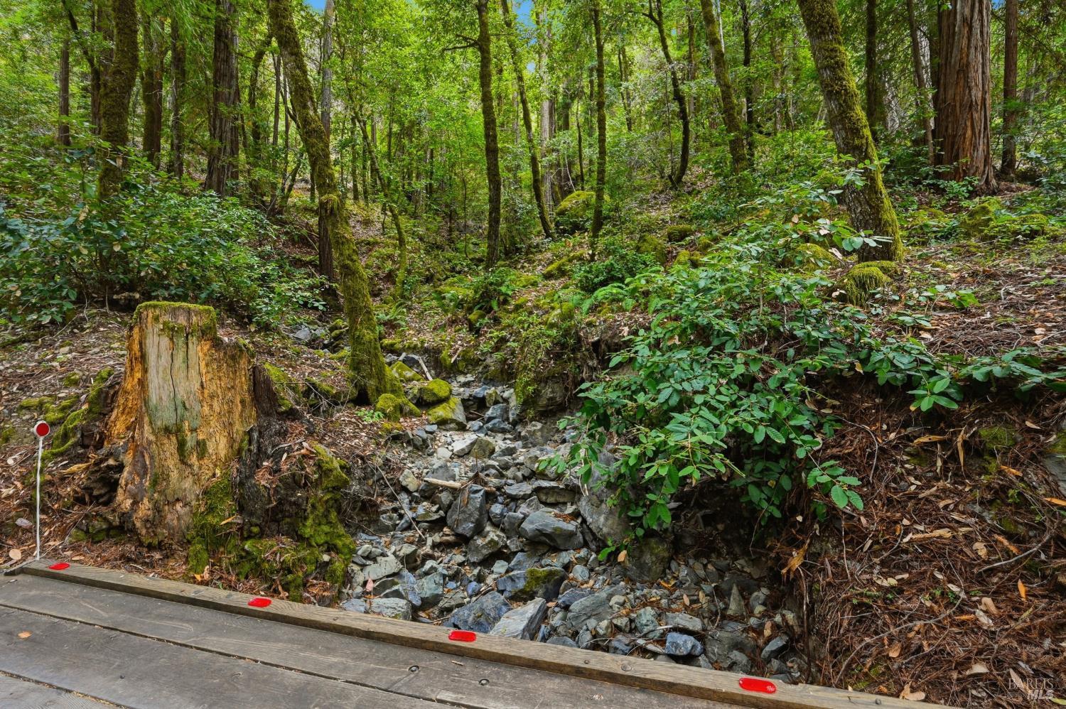 19300 Fort Ross Road Cazadero CA 95421
