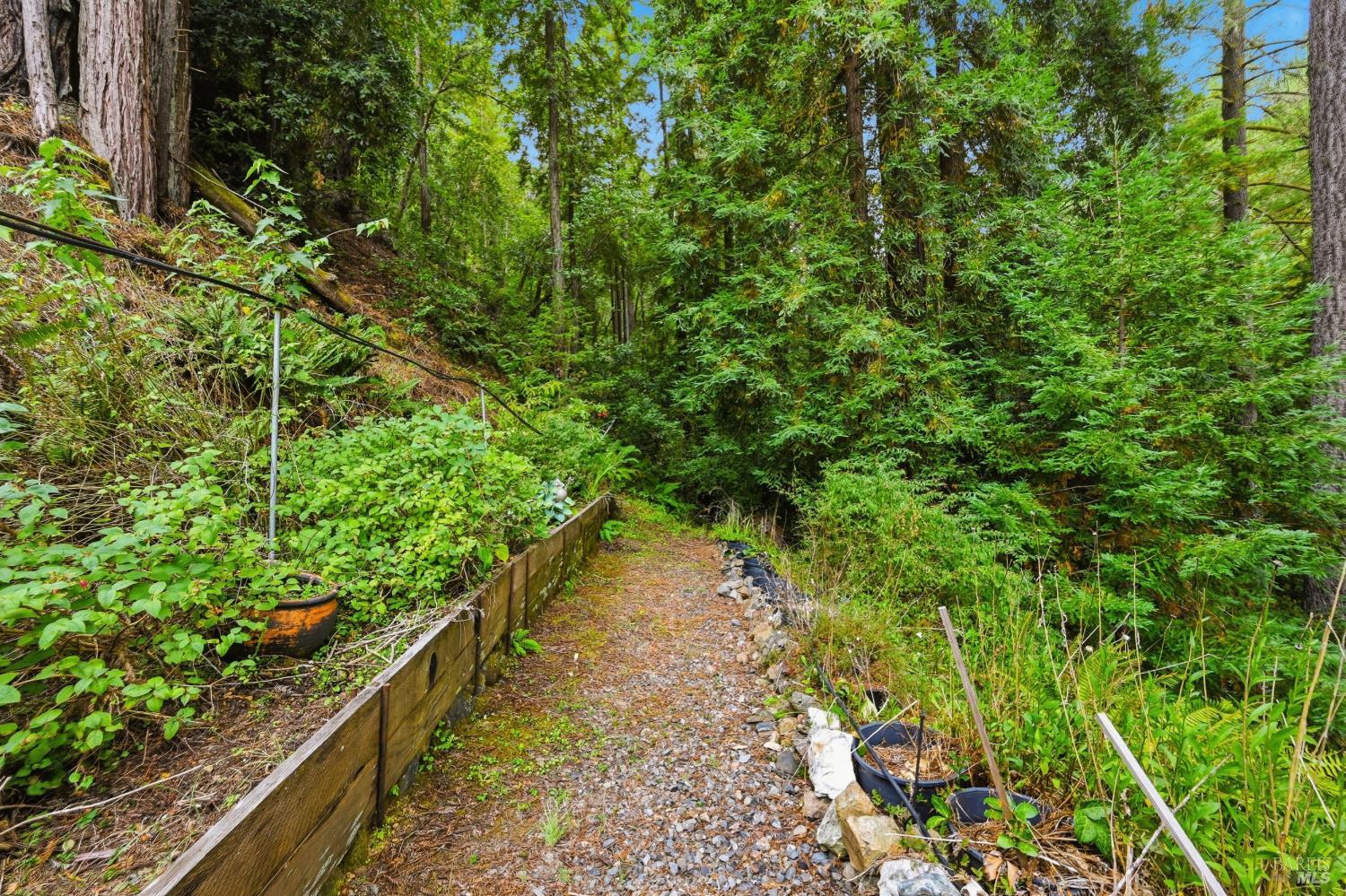 19300 Fort Ross Road Cazadero CA 95421