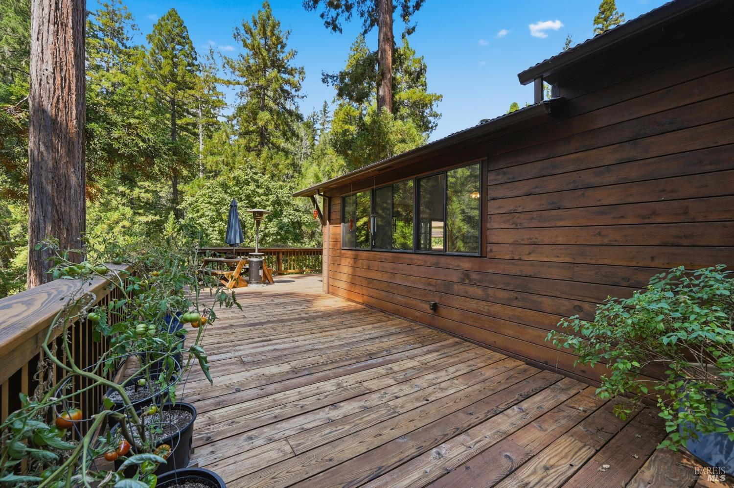 19300 Fort Ross Road Cazadero CA 95421