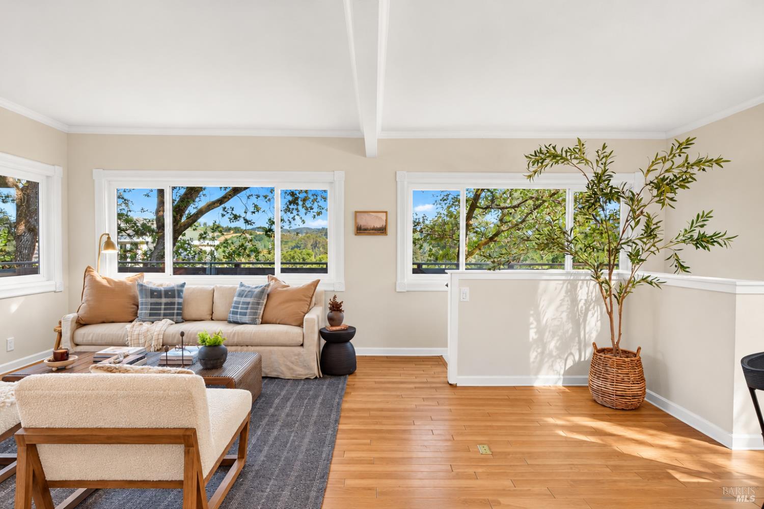 47 Humboldt Avenue San Anselmo CA 94960