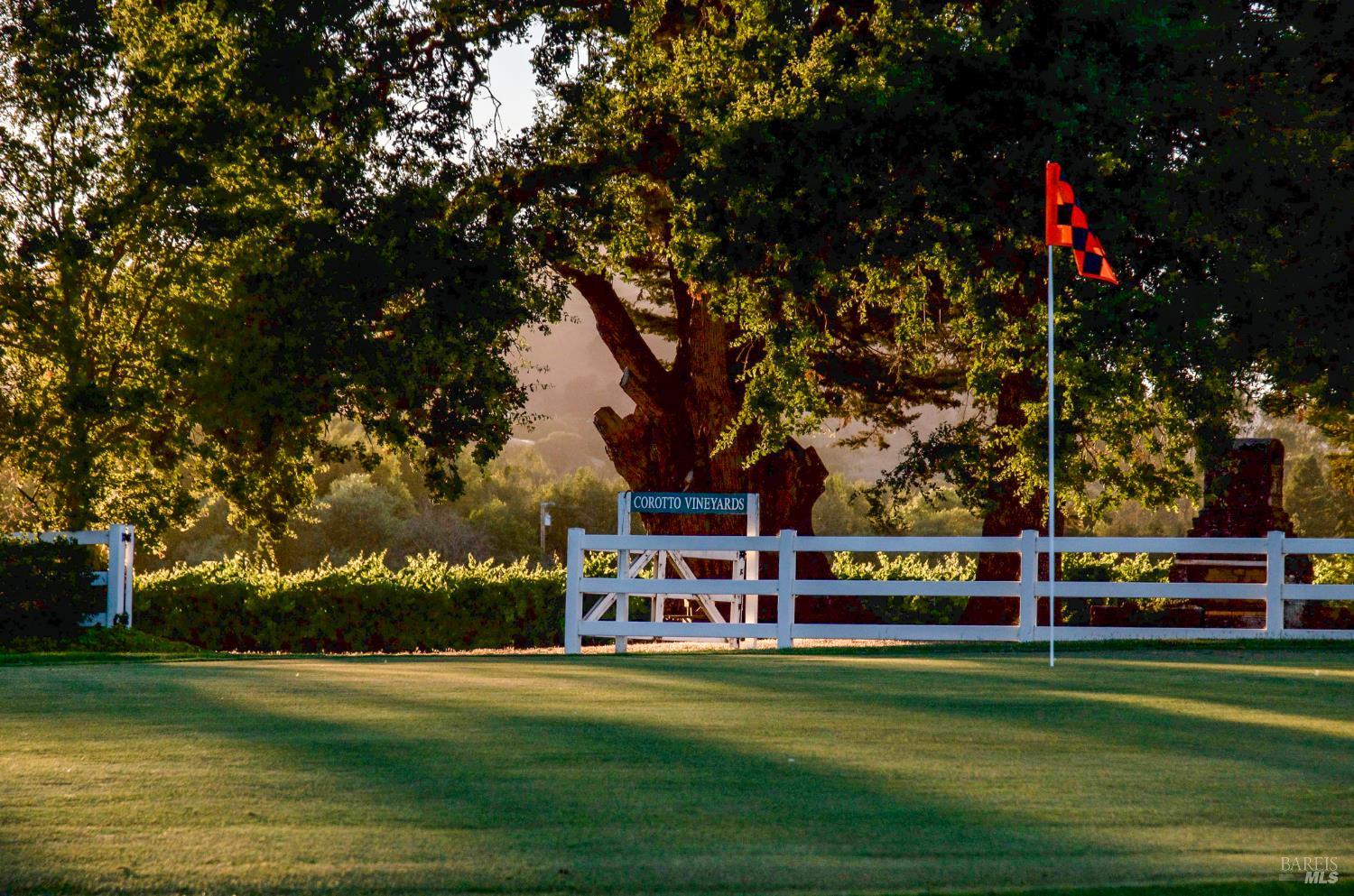 1129 Dealy Lane Napa CA 94559