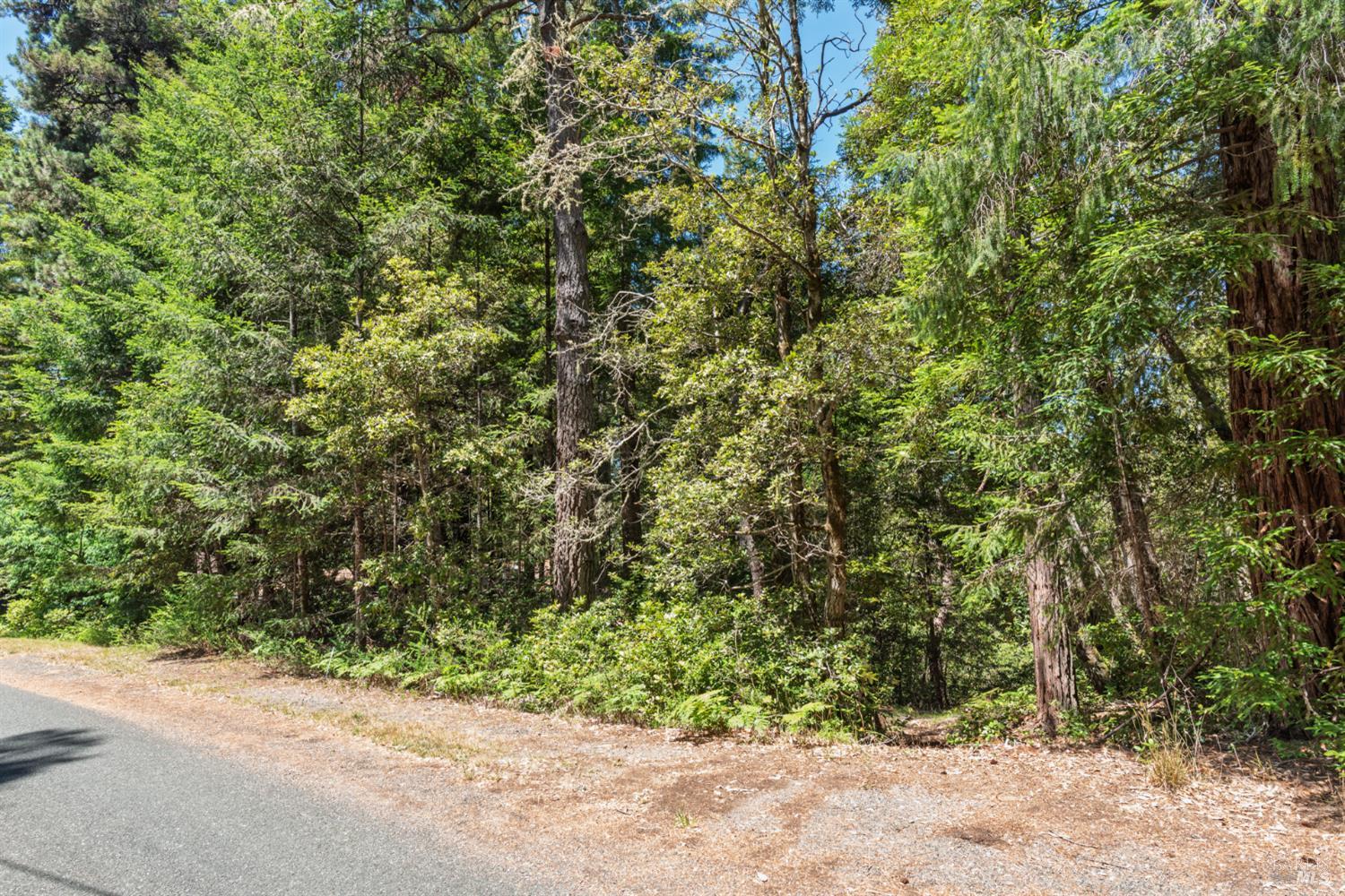 37870 Ocean Ridge Drive Gualala CA 95445