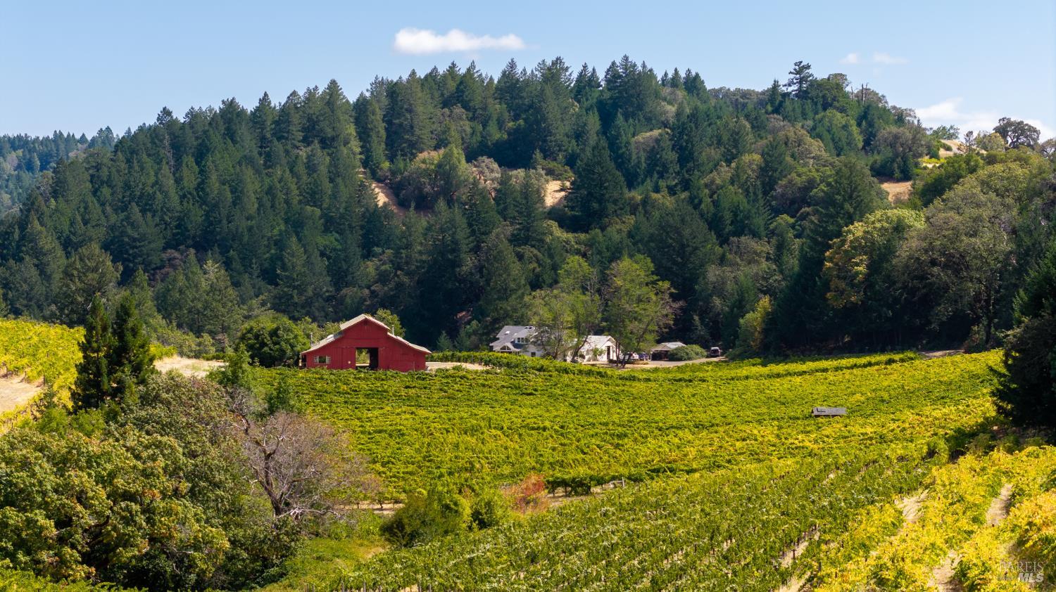 18450 Rockpile Road Geyserville CA 95441