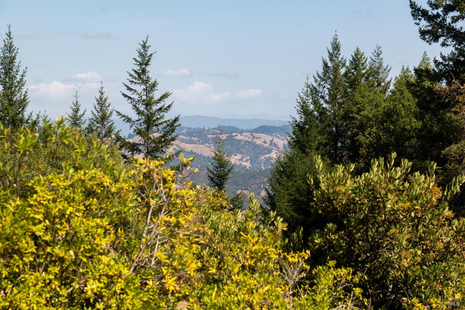 18450 Rockpile Road Geyserville CA 95441