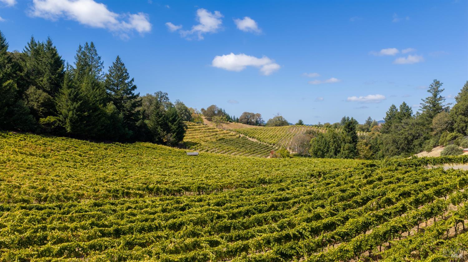 18450 Rockpile Road Geyserville CA 95441