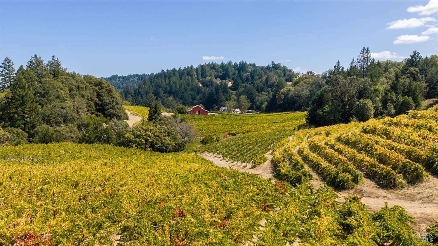 18450 Rockpile Road Geyserville CA 95441