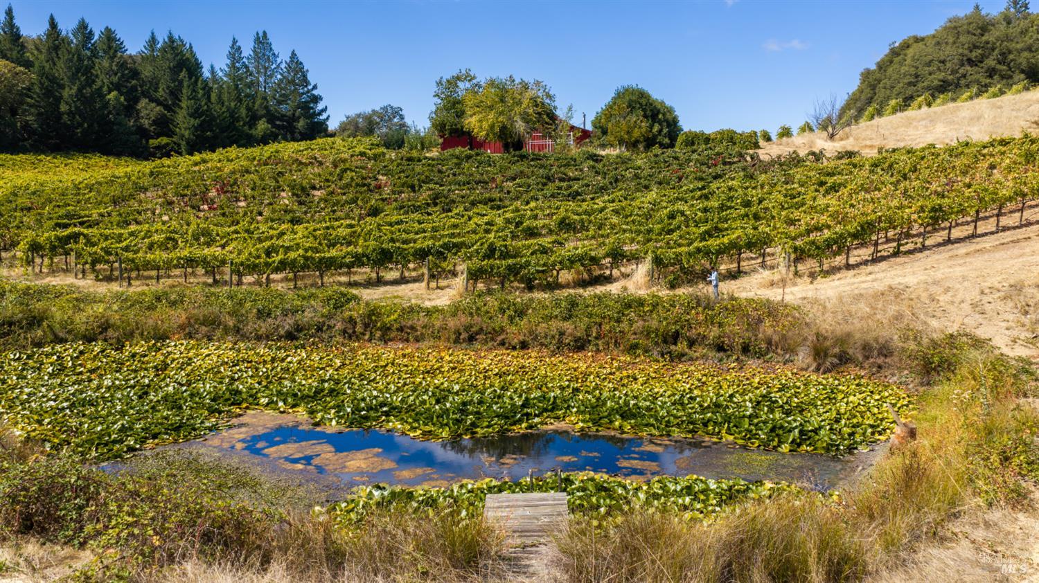 18450 Rockpile Road Geyserville CA 95441