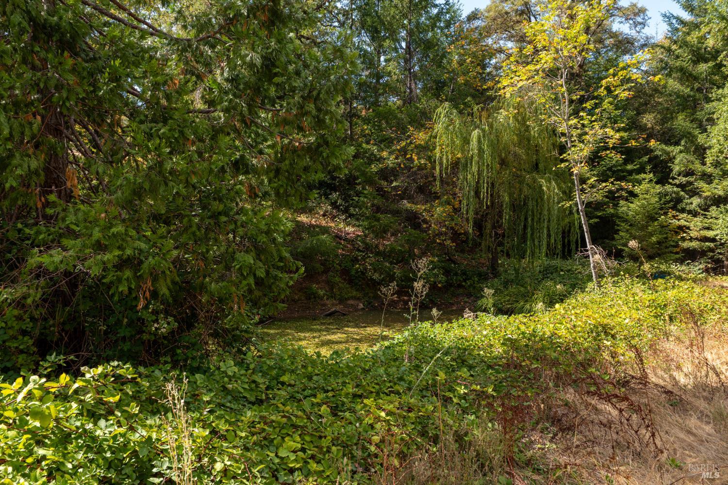 18450 Rockpile Road Geyserville CA 95441