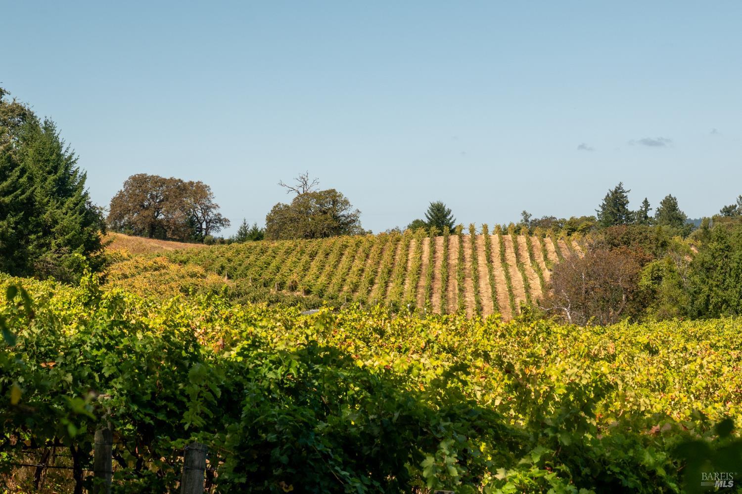 18450 Rockpile Road Geyserville CA 95441
