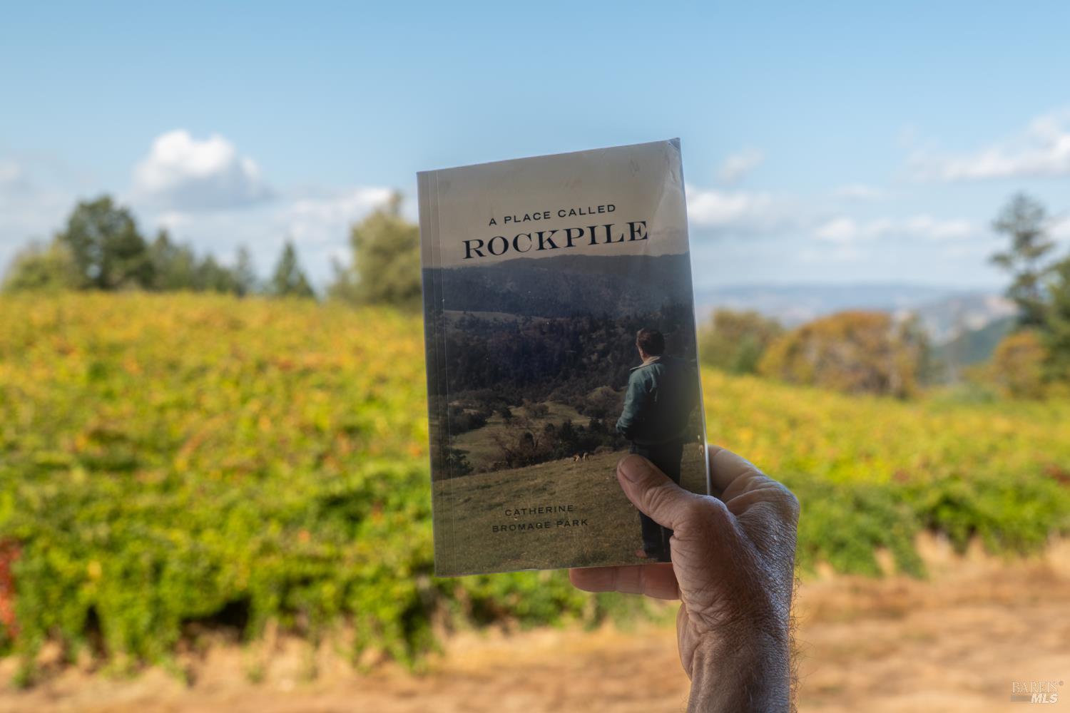 18450 Rockpile Road Geyserville CA 95441