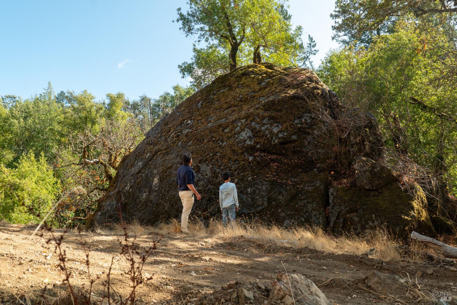 18450 Rockpile Road Geyserville CA 95441