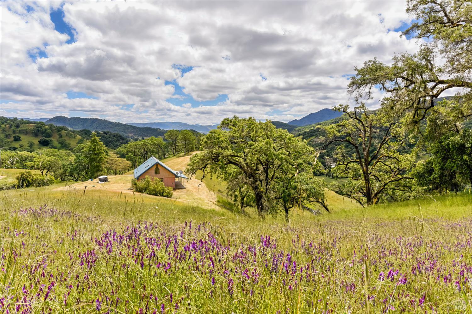 4610 Feliz Creek Road Hopland CA 95449