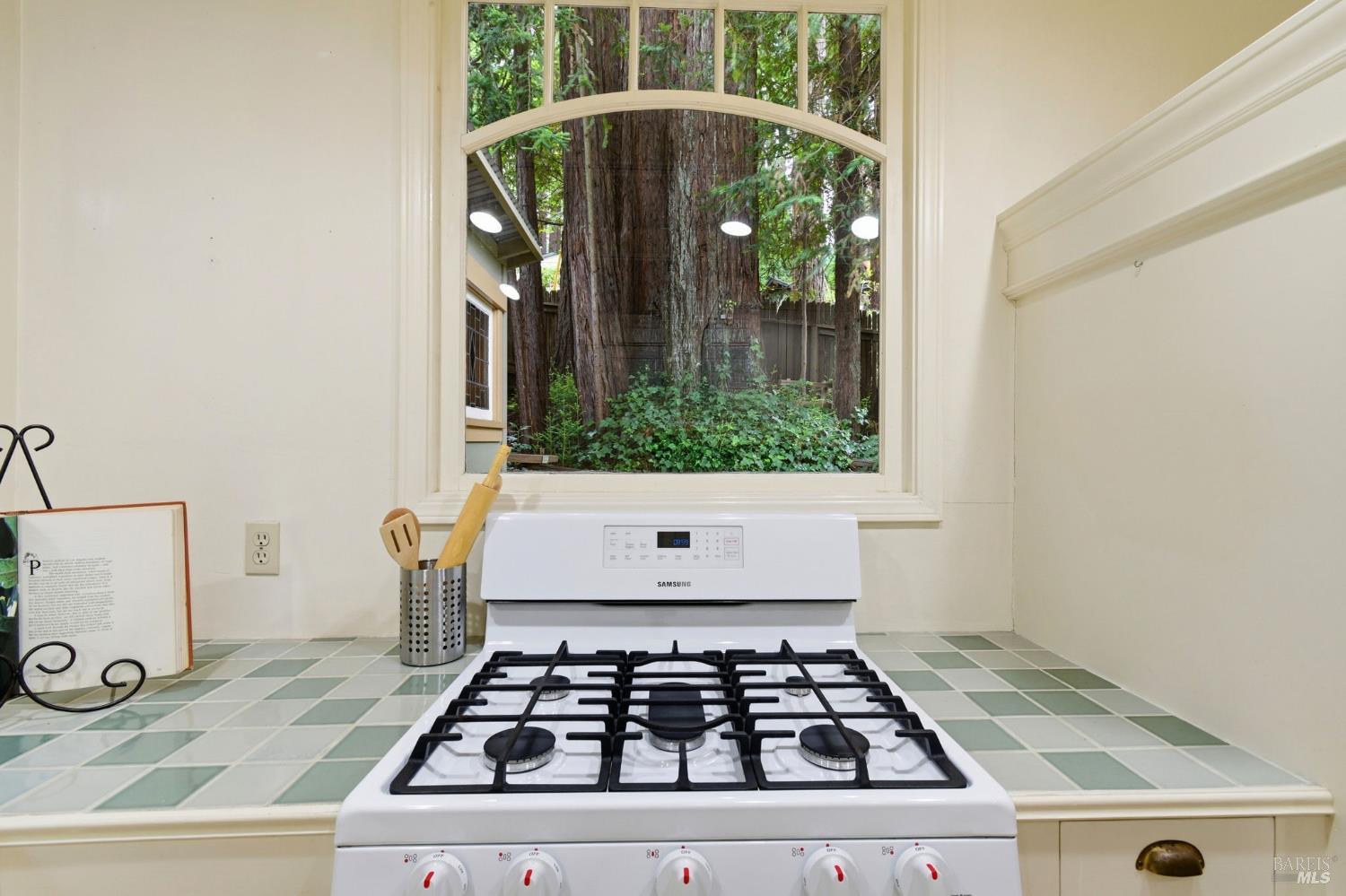 15740 Morningside Drive Guerneville CA 95446