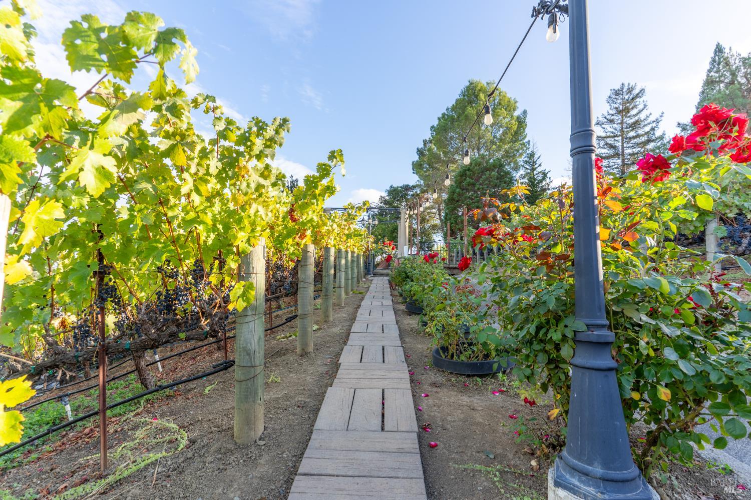 1125 Westview Drive Napa CA 94558