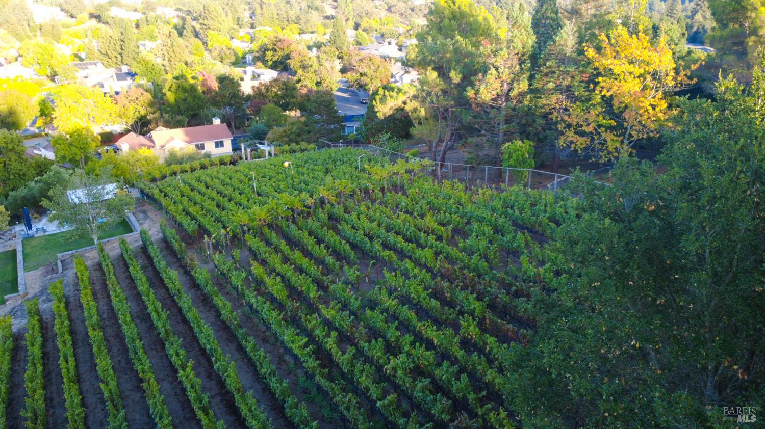 1125 Westview Drive Napa CA 94558