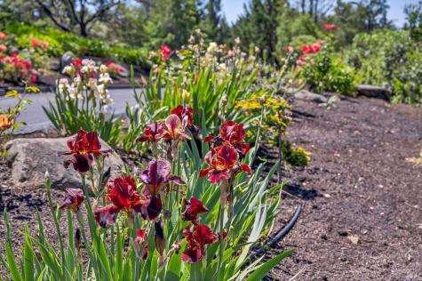 3975 Chanate Road Santa Rosa CA 95404