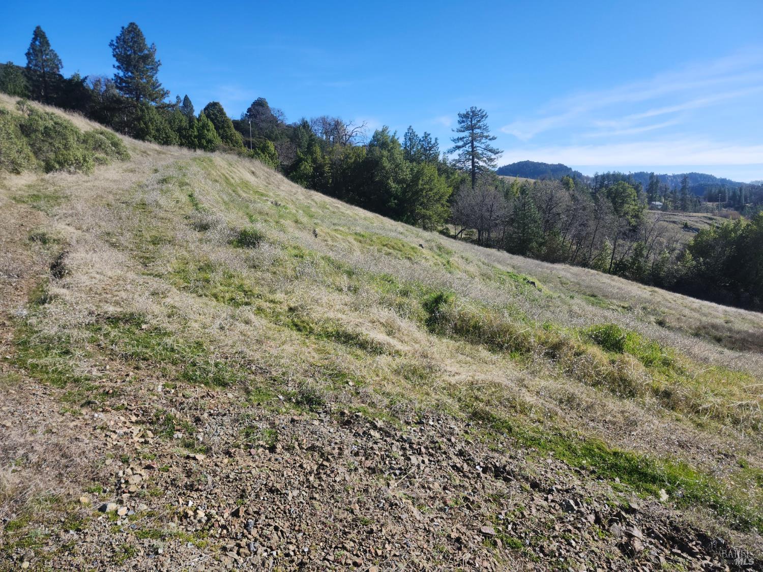 4300 Spyrock Road Laytonville CA 95585