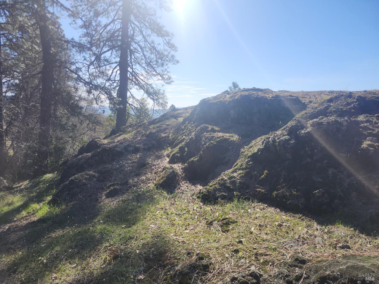 4300 Spyrock Road Laytonville CA 95585