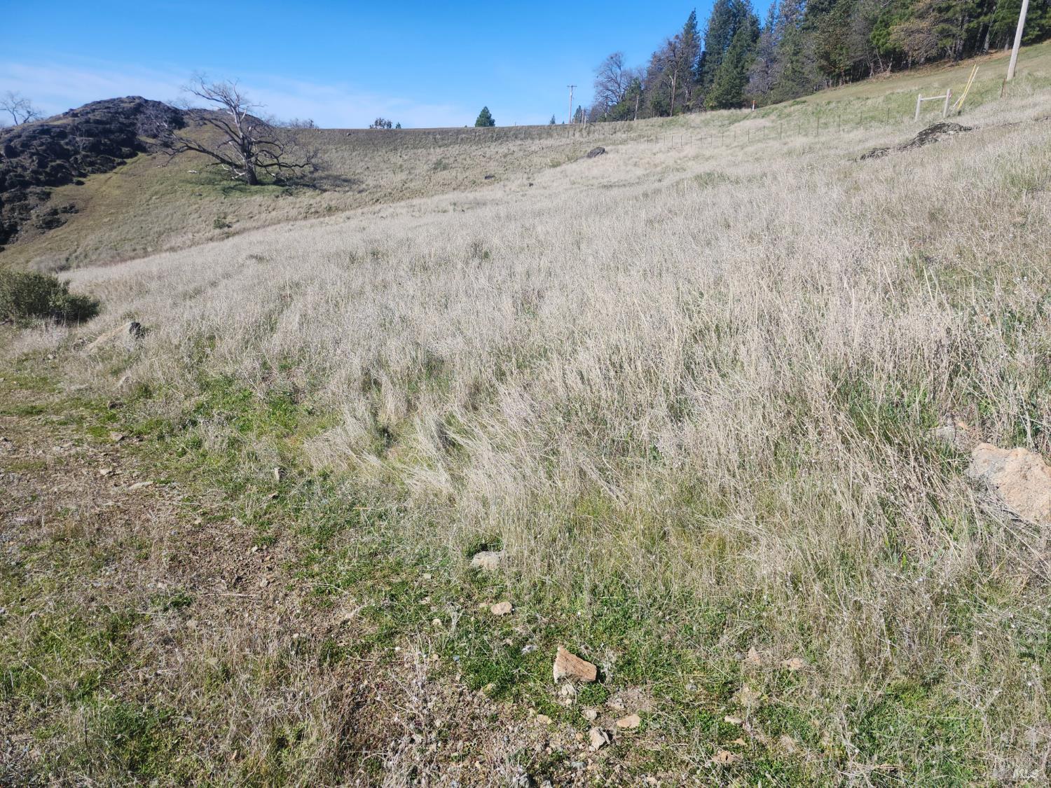 4300 Spyrock Road Laytonville CA 95585