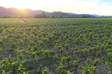 14631 Kinley Drive Healdsburg CA 95448