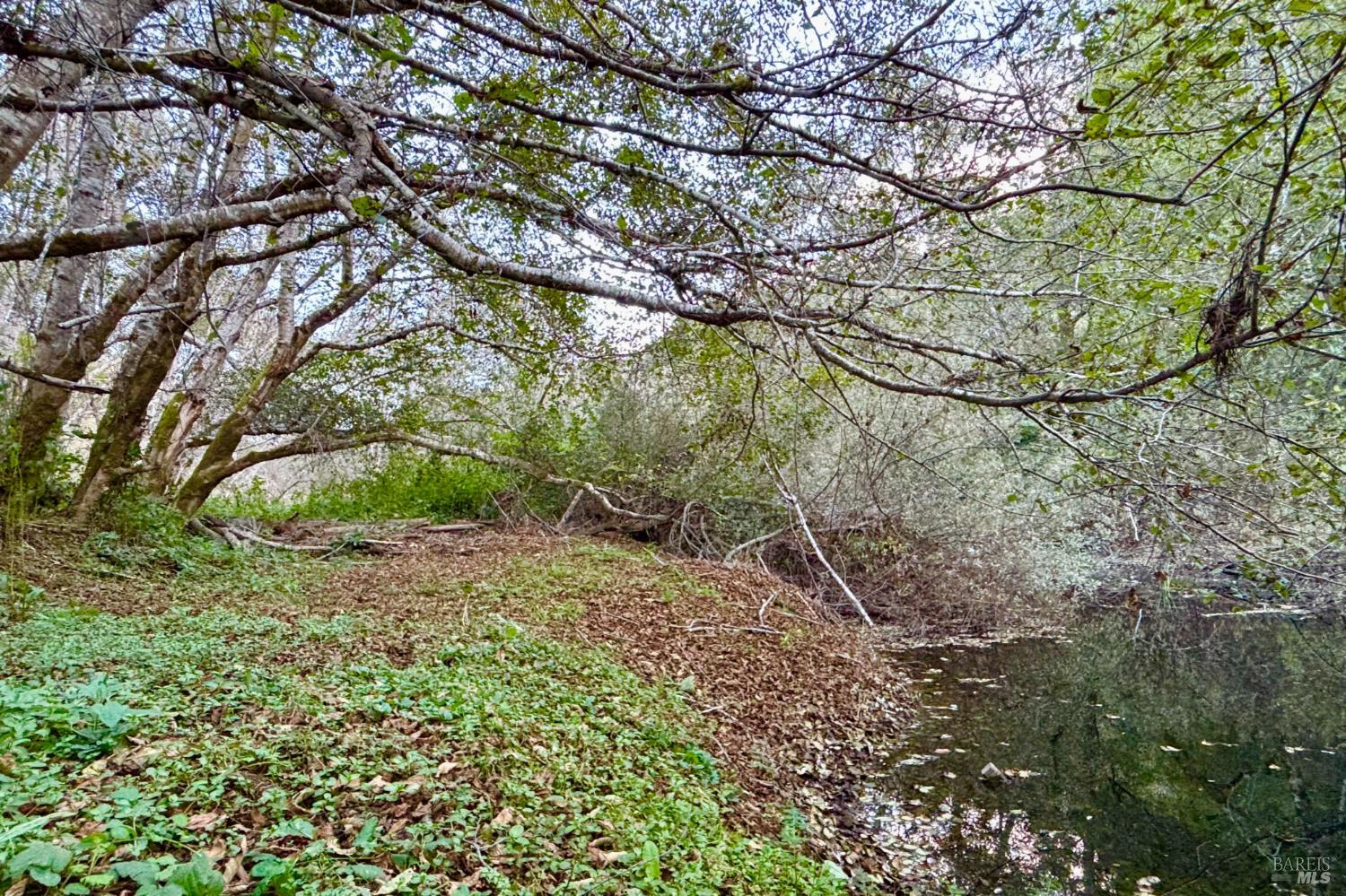 29000 Camp Two Ten Mile Road Fort Bragg CA 95437