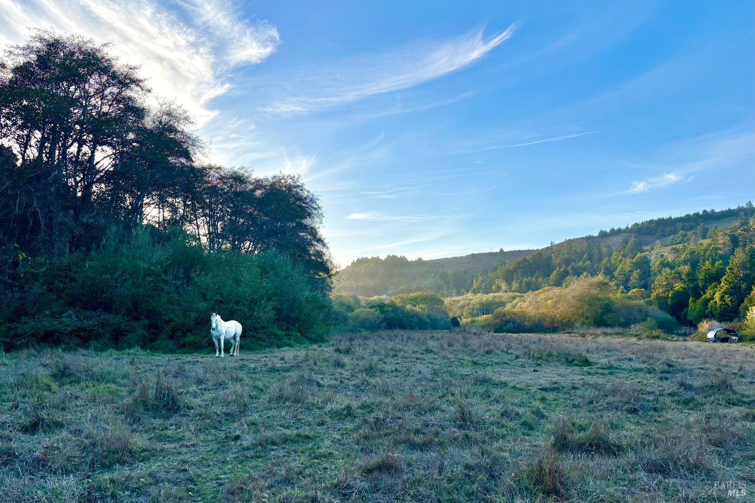 29000 Camp Two Ten Mile Road Fort Bragg CA 95437