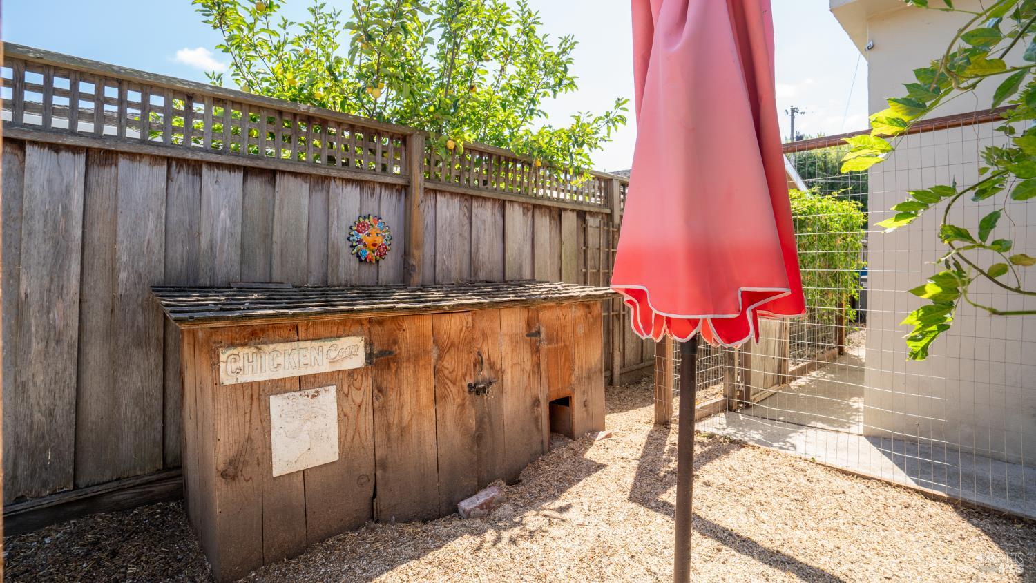423 Donner Avenue Petaluma CA 94954