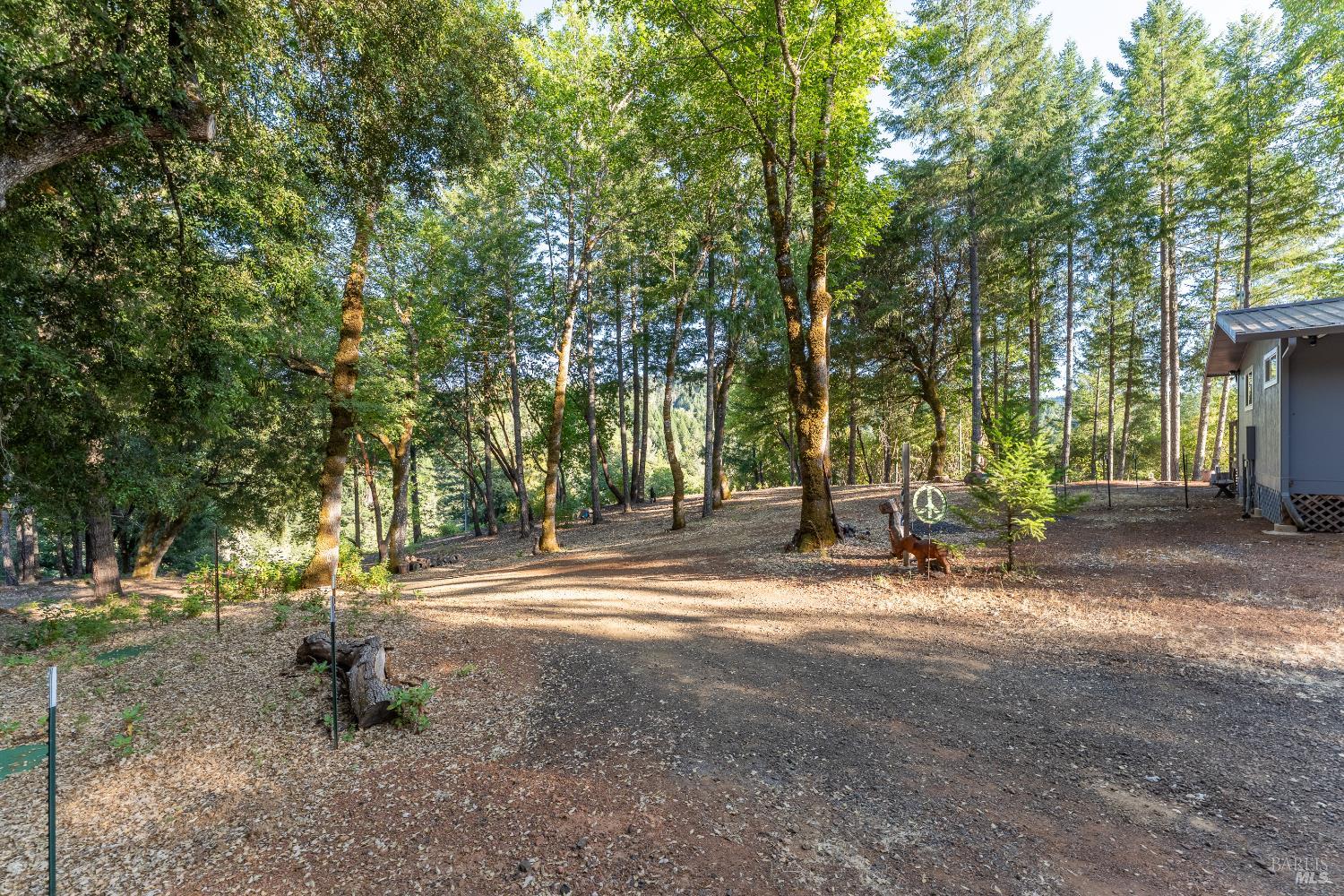 3770 Cherry Creek Road Willits CA 95490