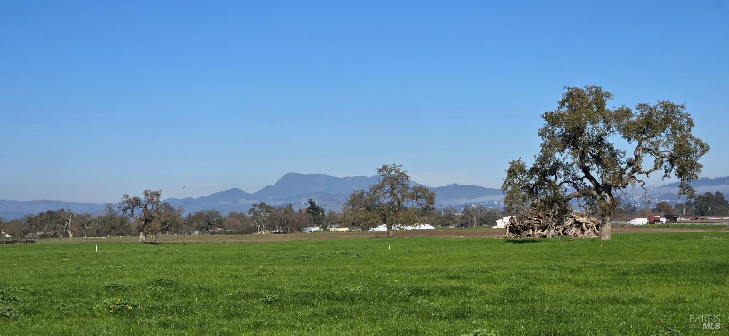 1979 Ludwig Avenue Santa Rosa CA 95407