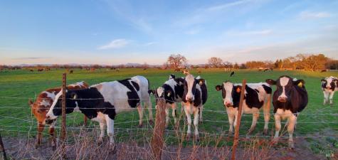 1979 Ludwig Avenue Santa Rosa CA 95407