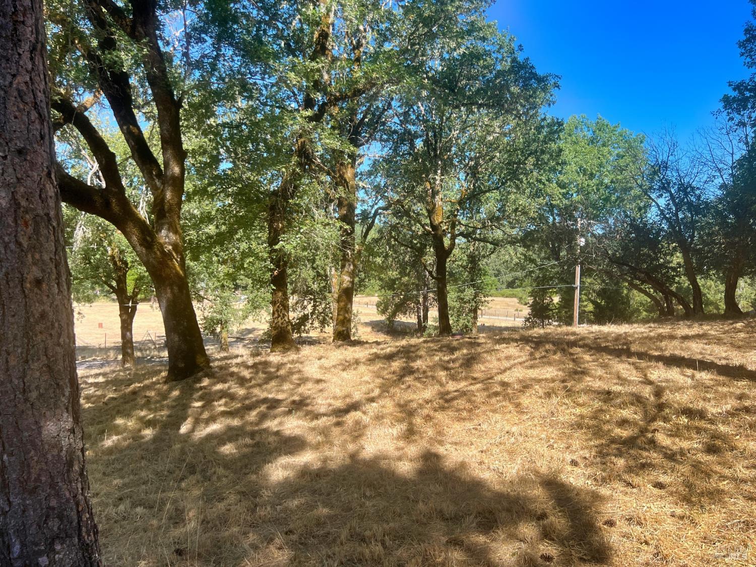 46145 Meadow Lane N Laytonville CA 95454