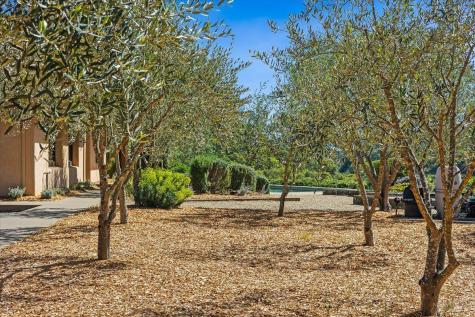 22355 Chianti Road Geyserville CA 95441