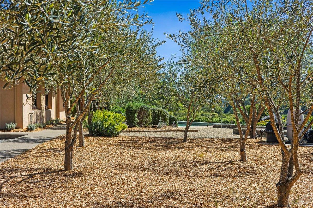 22355 Chianti Road Geyserville CA 95441