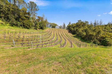 22355 Chianti Road Geyserville CA 95441