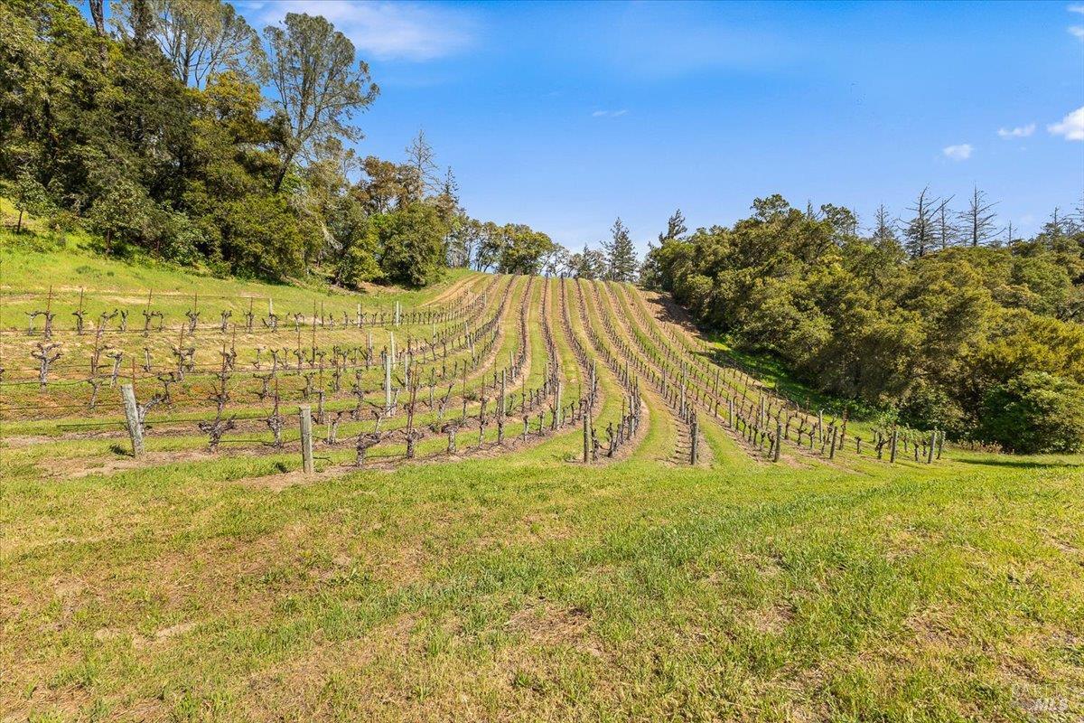 22355 Chianti Road Geyserville CA 95441