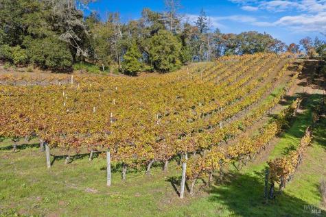 22355 Chianti Road Geyserville CA 95441